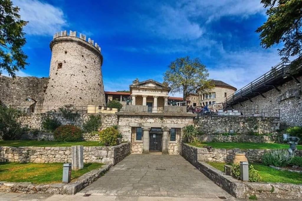 Apartman David-Drazice Bagian luar foto