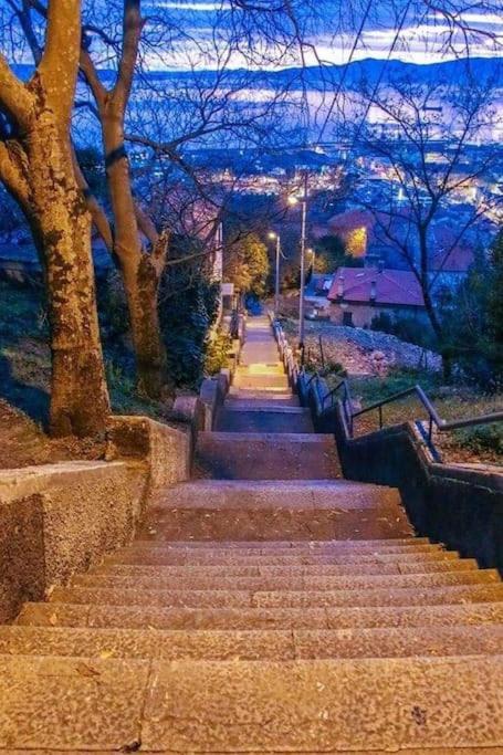 Apartman David-Drazice Bagian luar foto