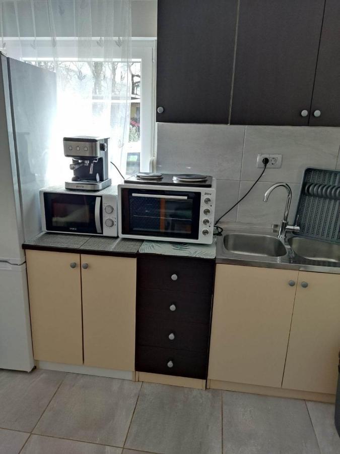 Apartman David-Drazice Bagian luar foto