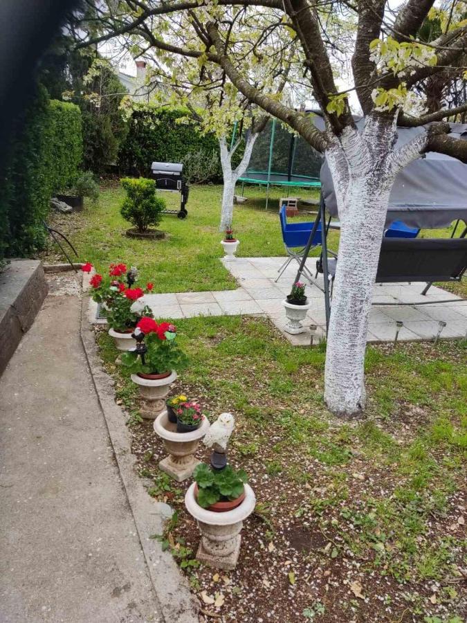 Apartman David-Drazice Bagian luar foto